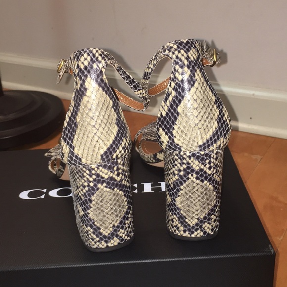 Coach maya snakeskin sandal - Picture 5 of 8